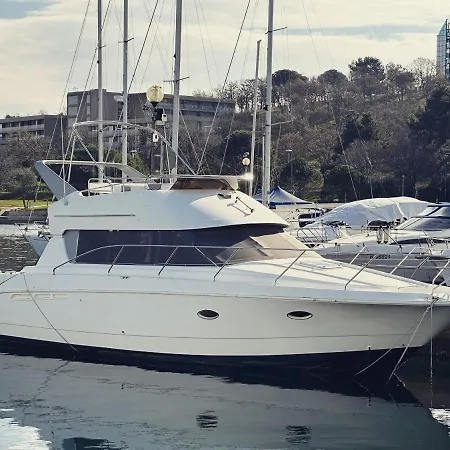 Dream Night Boats Ботель *